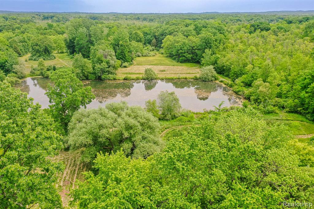 5180 Hillsboro Road, Davisburg, MI 48350 — Photo 55