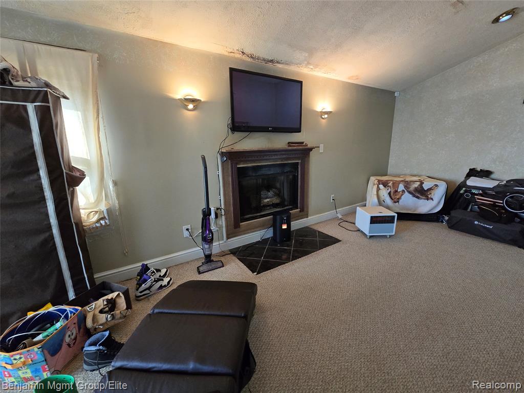 757 Louisa Street, Mount Morris, MI 48458 — Photo 4