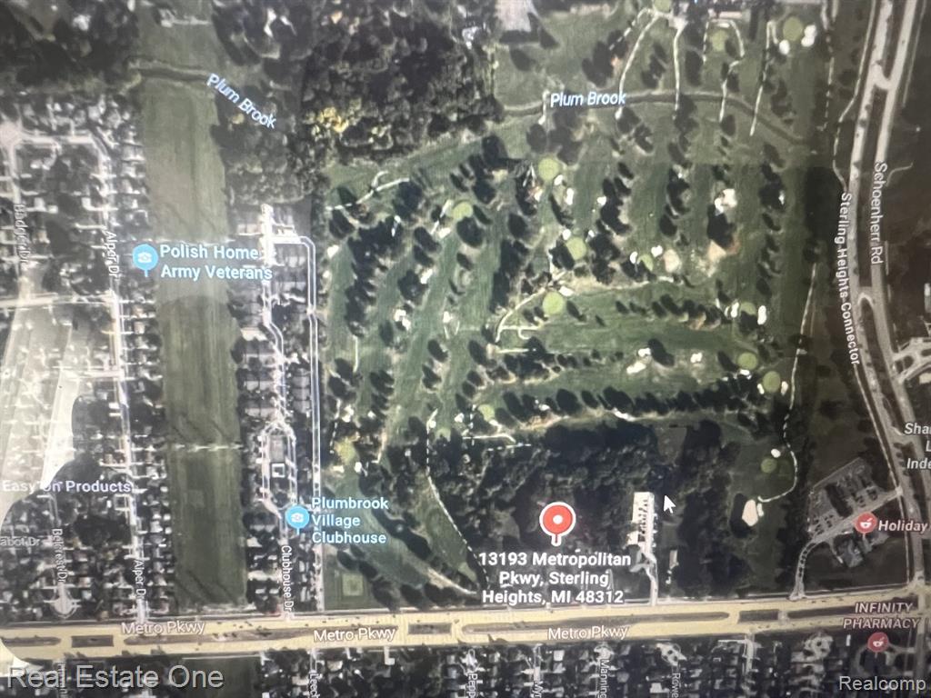 Parcel 10 Leaf Lane, Freeport, MI, 49325 Parcel 10 Leaf Lane, Freeport, MI, 49325