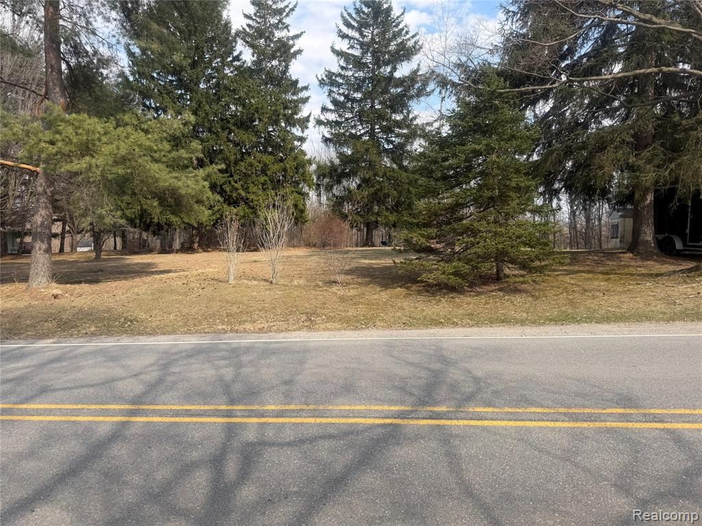 V/L Fulton, Mayville Vlg, MI 48744 — Photo 3