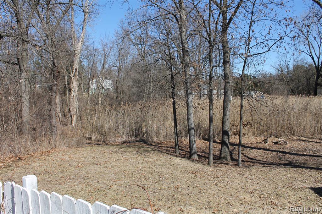 9611 WHITEWOOD Road, Pinckney, MI 48169 — Photo 21