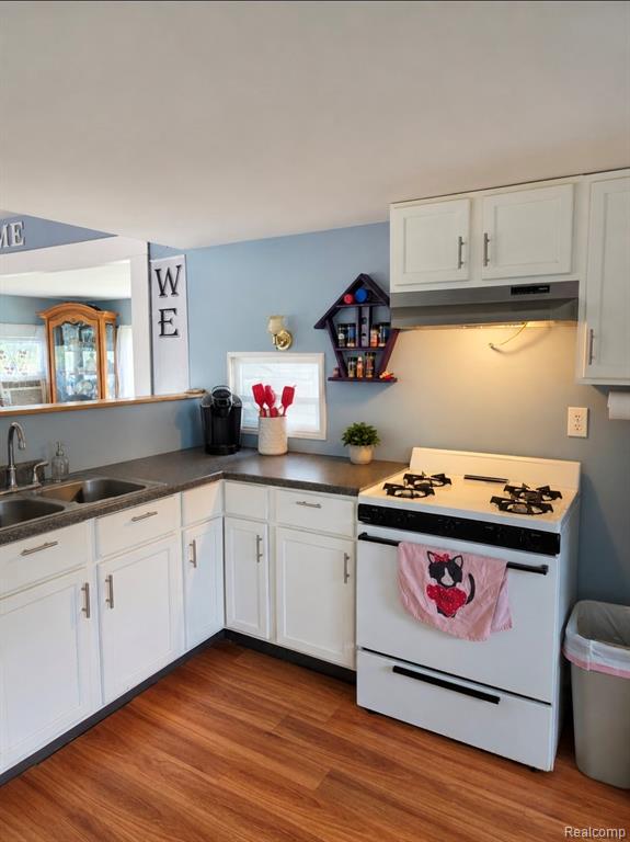 26711 Q Drive N, Albion, MI 49224 — Photo 16