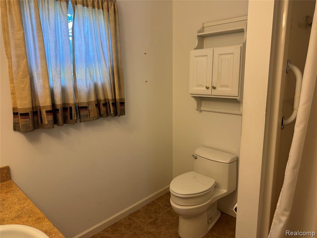 3198 Leeomi Drive, Britton, MI 49229 — Photo 23
