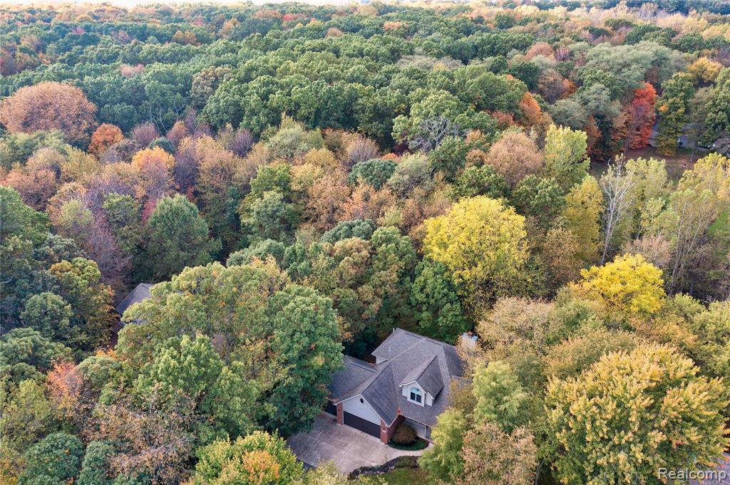 11410 Tall Shadows Court, Pinckney, MI 48169 — Photo 53