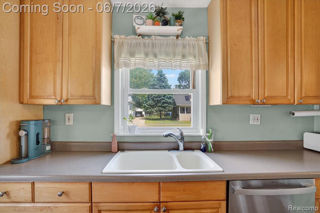 239 E Chestnut Street, Webberville, MI 48892 — Photo 13