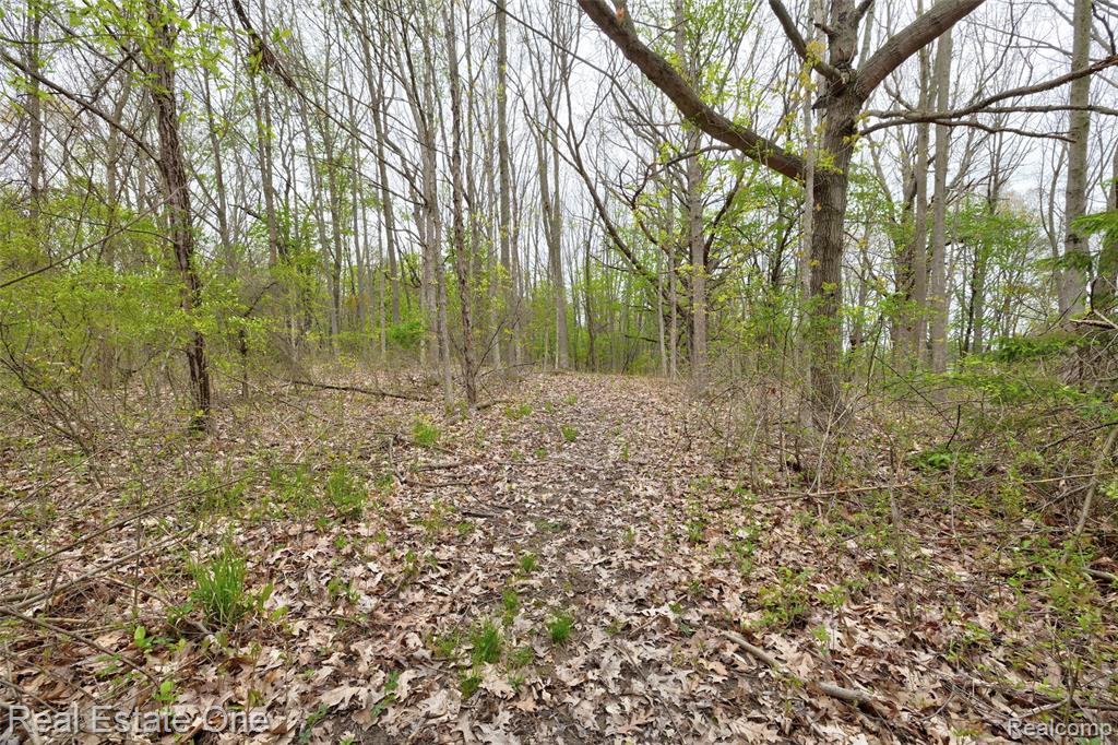 3960 Baldwin Road N, Ortonville, MI 48462 — Photo 48