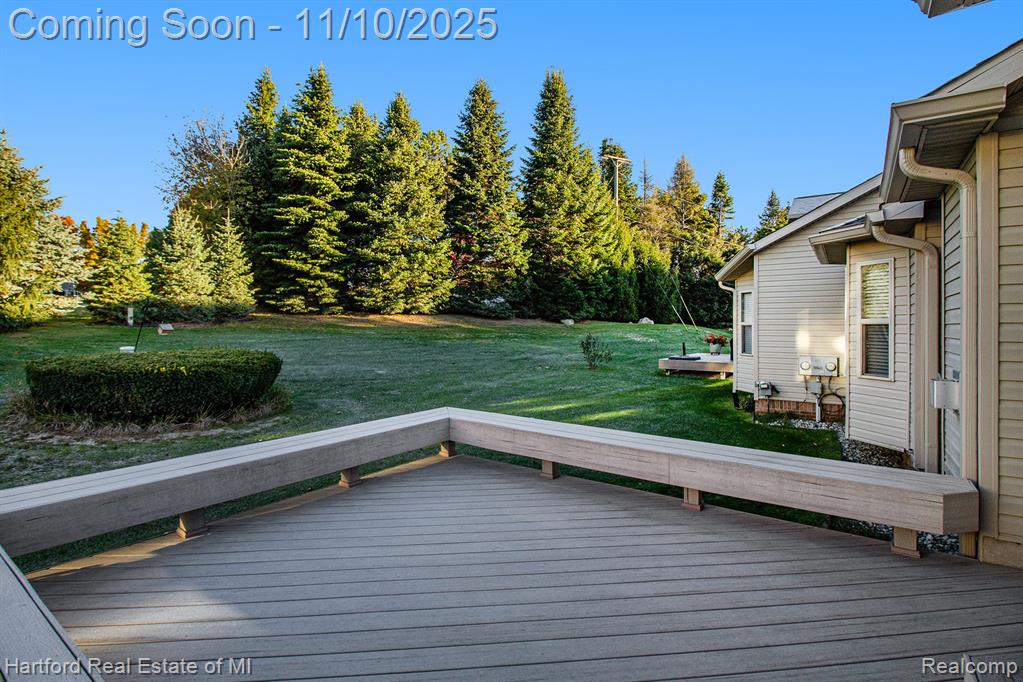 59572 Twin Pines Drive Twin Pines Drive, New Hudson, MI 48165 — Photo 17