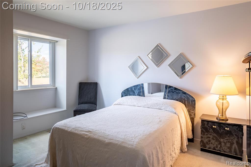 41134 N Woodbury Green Drive, Van Buren, MI 48111 — Photo 6