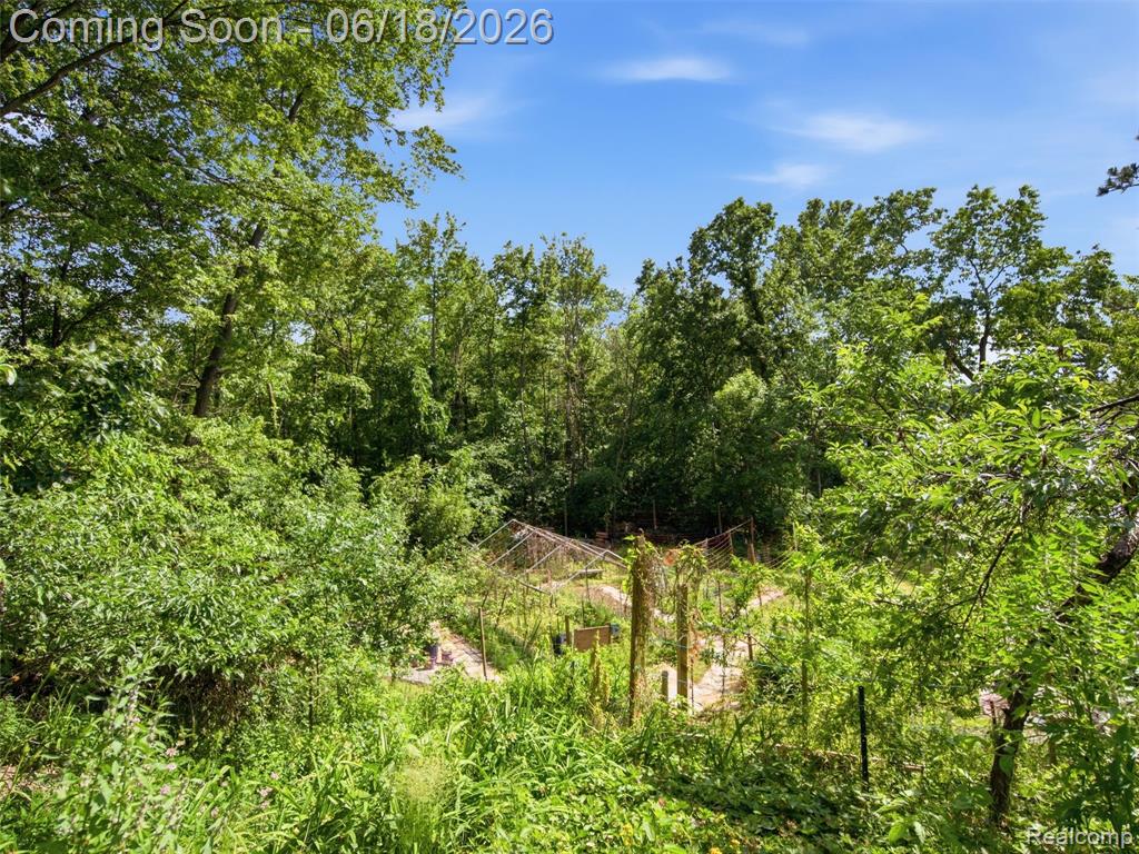 14478 Bouchner Drive, Linden, MI 48451 — Photo 56