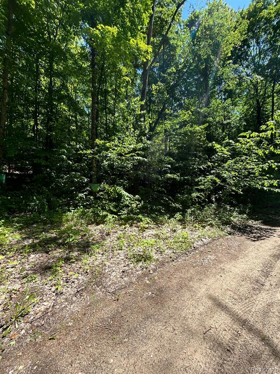 VL Smith Lake Road, Mancelona, MI 49659 — Photo 5