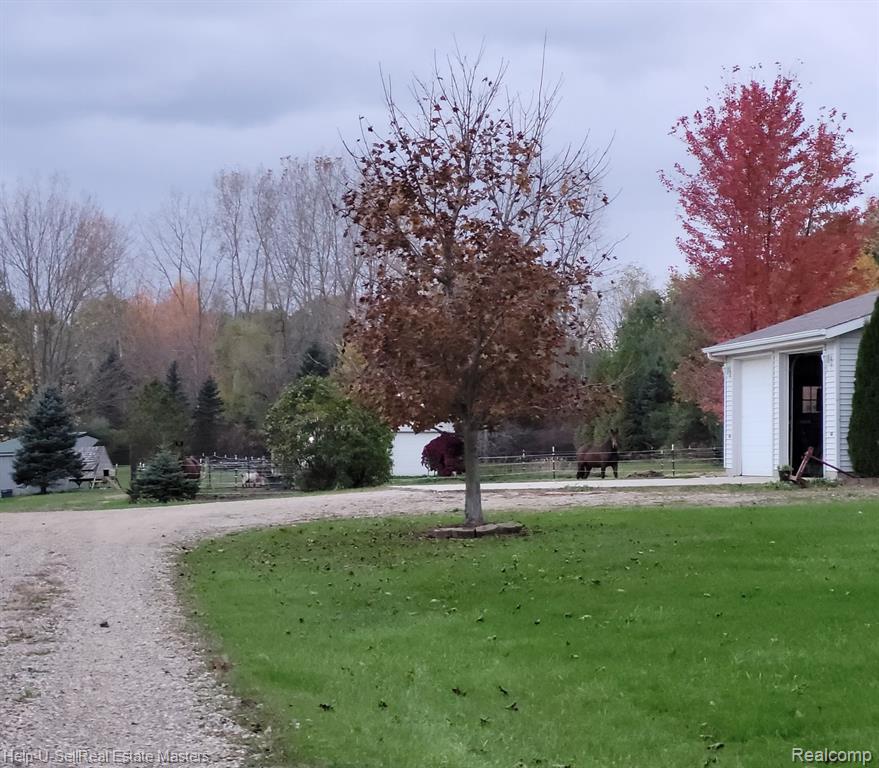 8036 ARENDT Road, Melvin, MI 48454 — Photo 32