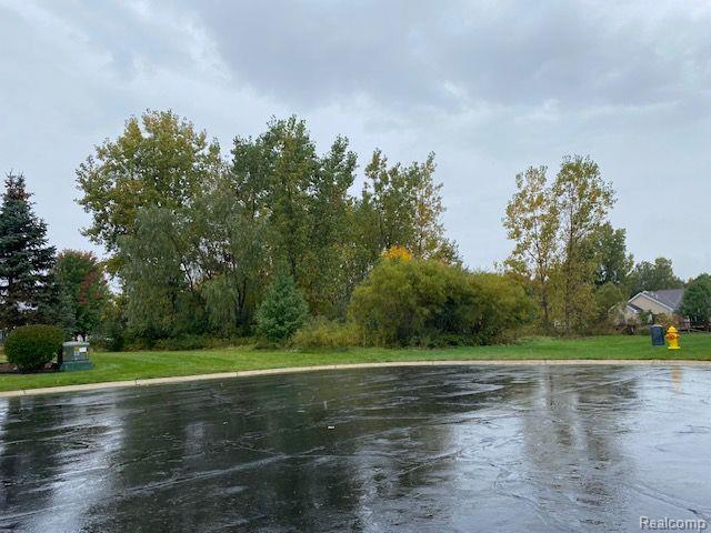 7105 WOODS WEST Drive, Flushing, MI 48433 — Photo 3