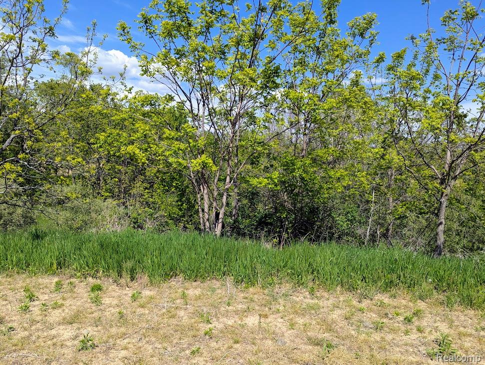Parcel D - Hogan Road, Linden, MI 48451 — Photo 10