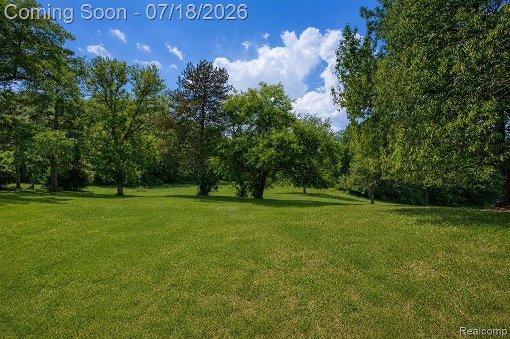 9550 Kies Road, Manchester, MI 48158 — Photo 31