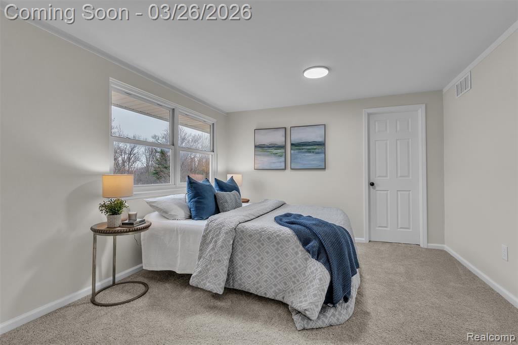20051 Churchill Avenue, Brownstown, MI 48183 — Photo 41