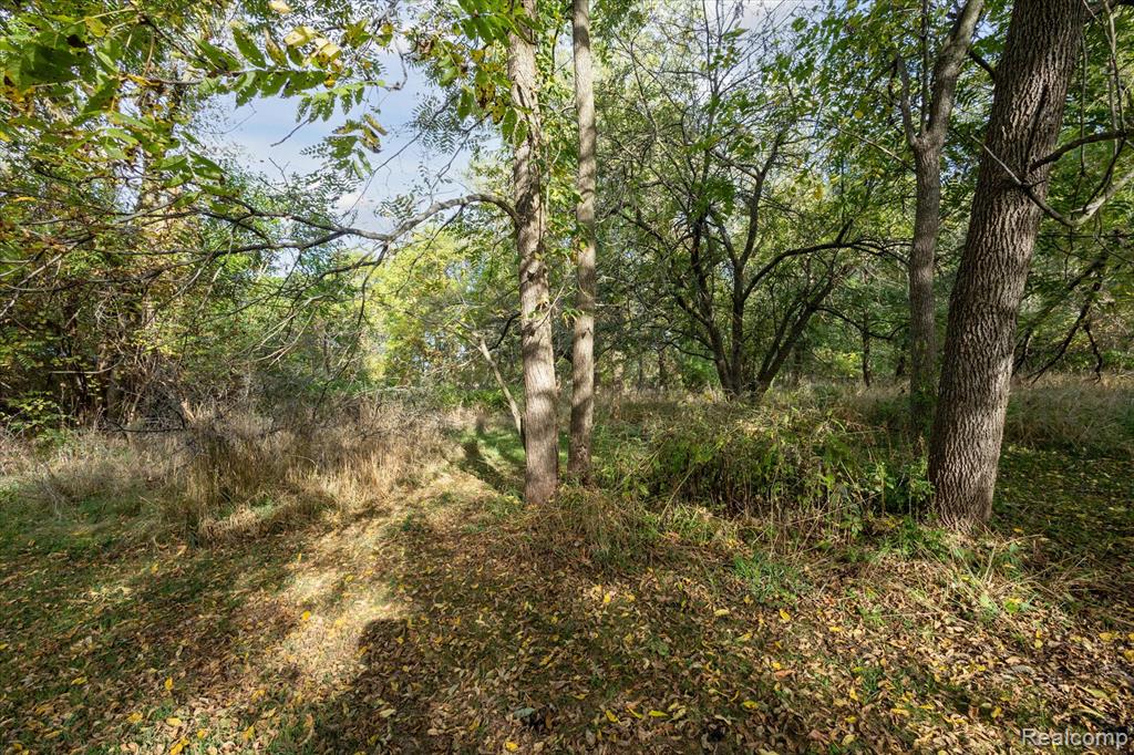 674 Beech Highway, MI 48813 — Photo 37