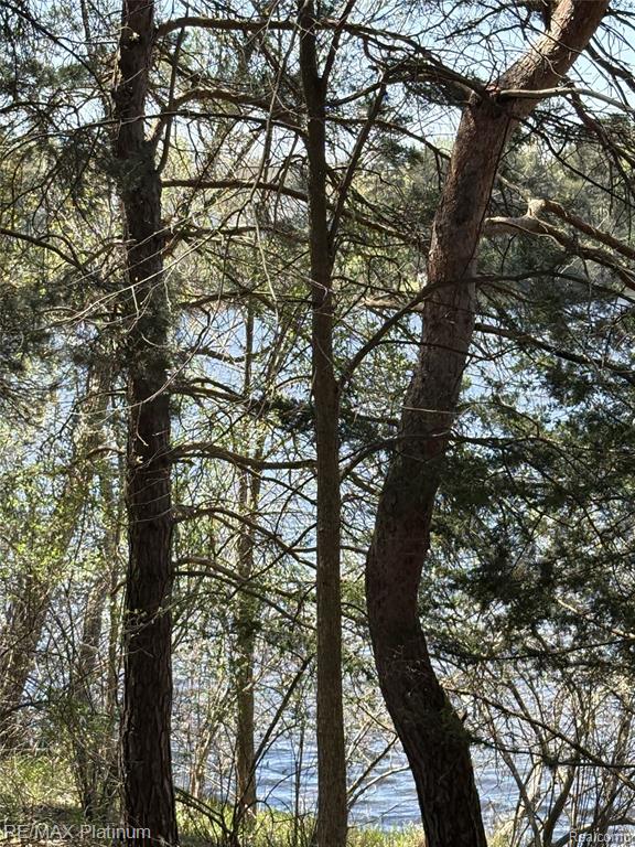 Parcel 3 Pineway Trail, Howell, MI 48855 — Photo 8