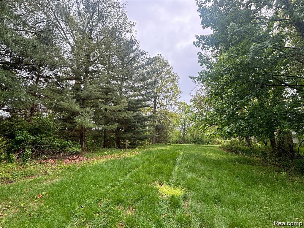 5961 woodmire, Shelby Twp, MI 48316 — Photo 3