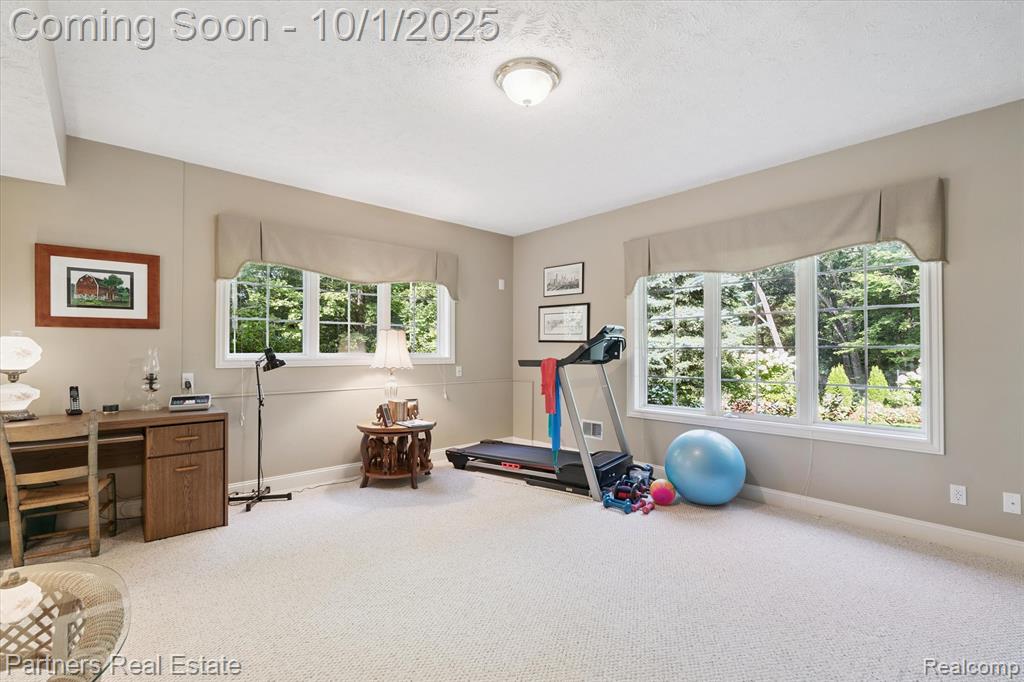 8044 Alta Vista Drive, Pinckney, MI 48169 — Photo 45