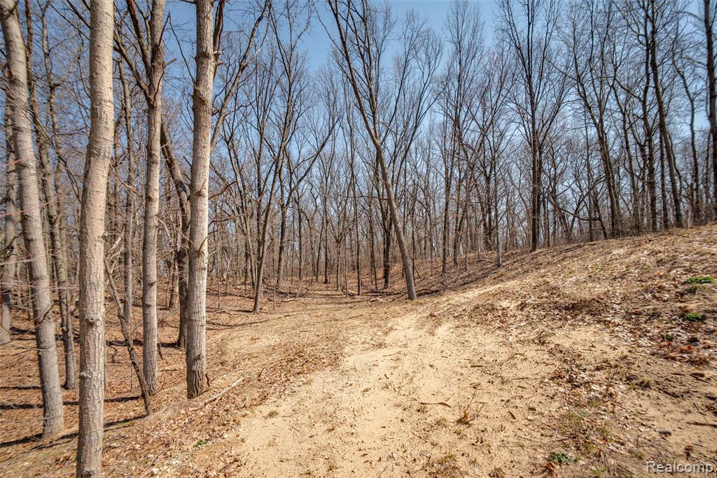16085 Catalpa Ridge Drive, Holly, MI 48442 — Photo 34