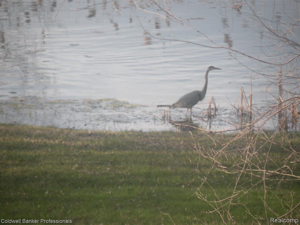 6253 7 MILE Road, South Lyon, MI 48178 — Photo 56