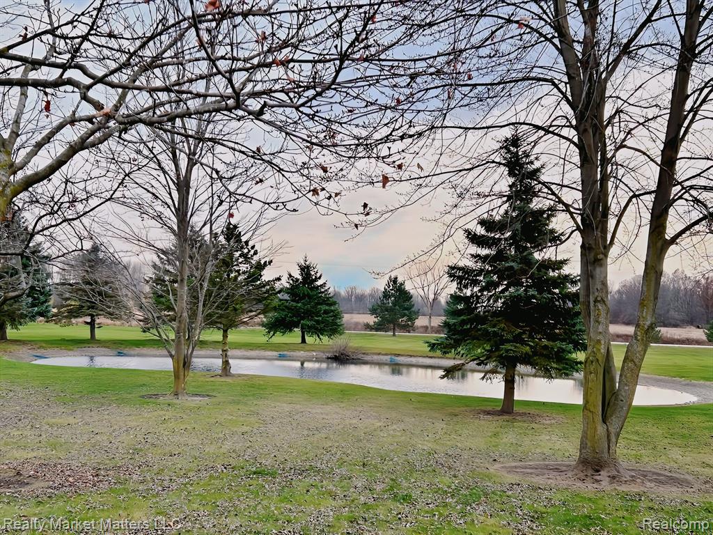 14118 KOEHN Road, Capac, MI 48014 — Photo 22