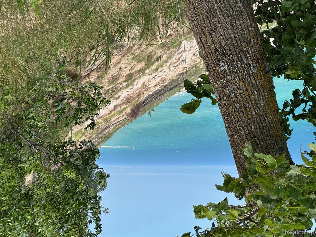 Parcel A Lake Bluff Drive, Arcadia, MI 49613 — Photo 15