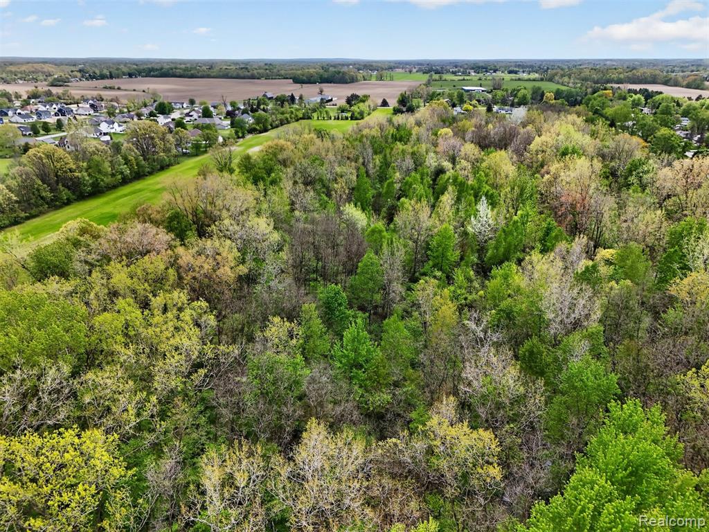 VL Grand Blanc Road, Swartz Creek, MI 48473 — Photo 6