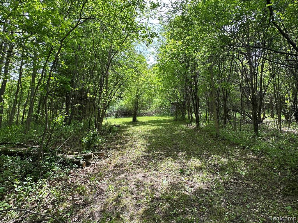 6161 River Road, Flushing, MI 48433 — Photo 29