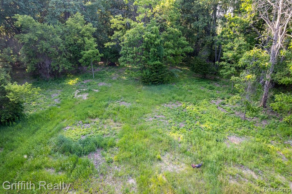 4433 Brighton Parcel B Road, Howell, MI 48843 — Photo 9