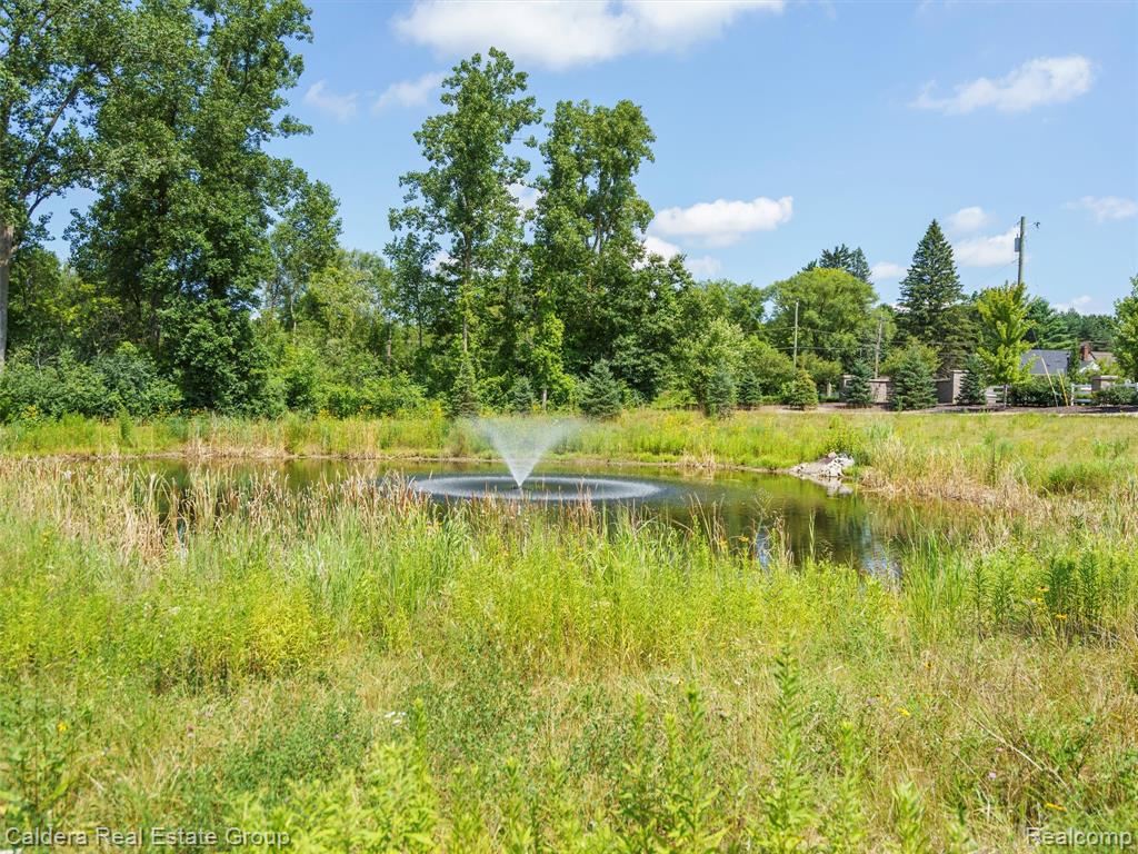 4132 Walcott Drive, Lake Orion, MI — Photo 57