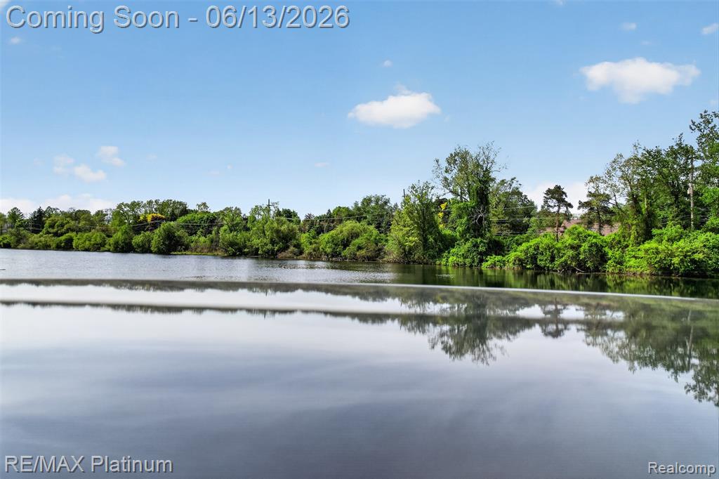 5060 Yax Pointe Drive, Howell, MI 48843 — Photo 61