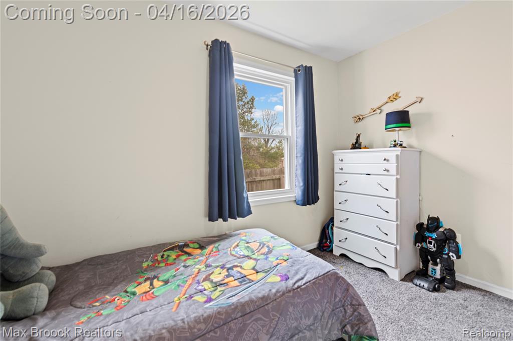 817 Mower Road, Pinckney, MI 48169 — Photo 19