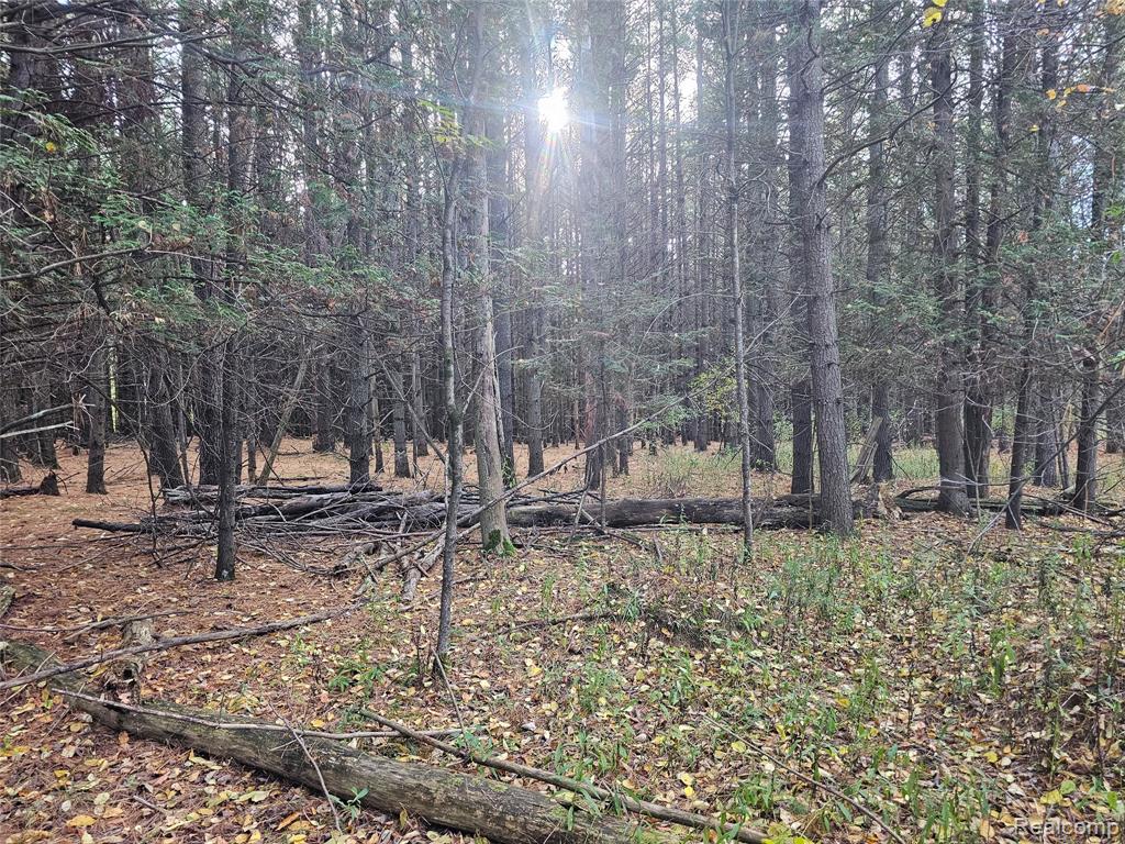 4901 M-55, Tawas City, MI 48763 — Photo 20