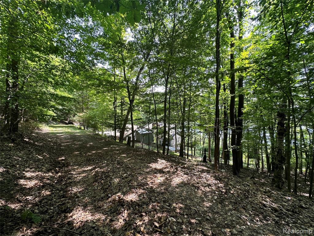 Private Spring Valley Drive, Beulah, MI 49617 — Photo 8