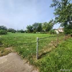 26165 W OUTER Drive, Detroit, MI 48217 — Photo 2