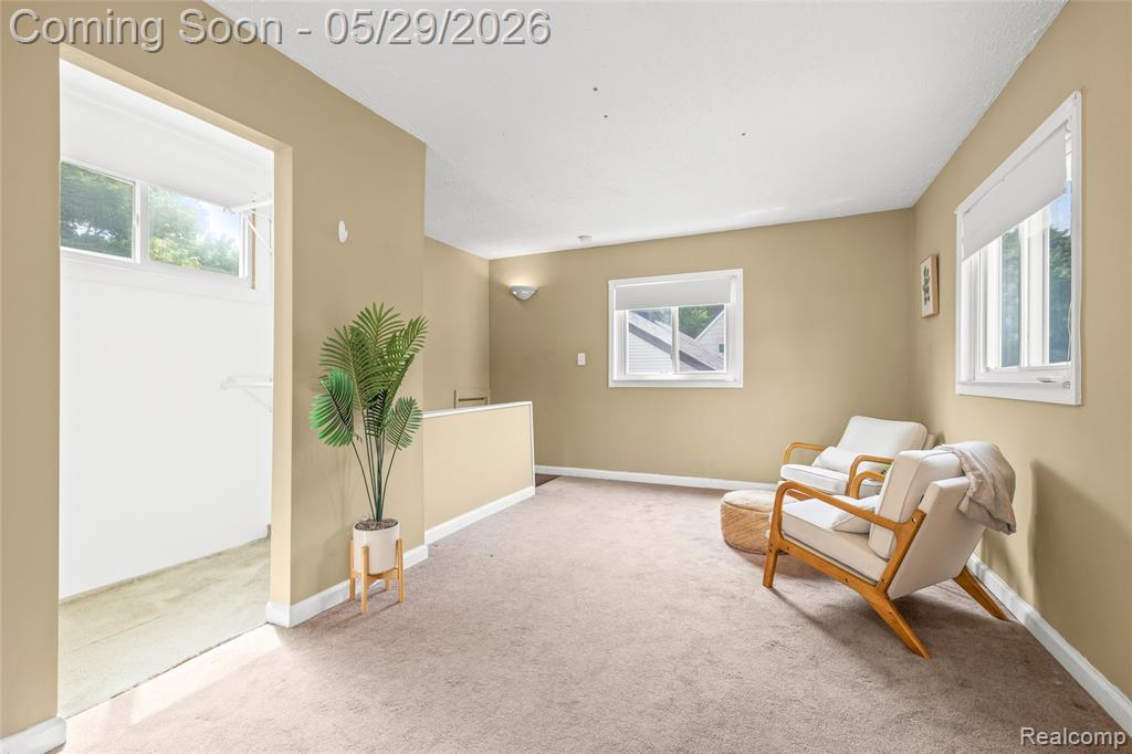 1019 Hoffman Avenue, Royal Oak, MI 48067 — Photo 16