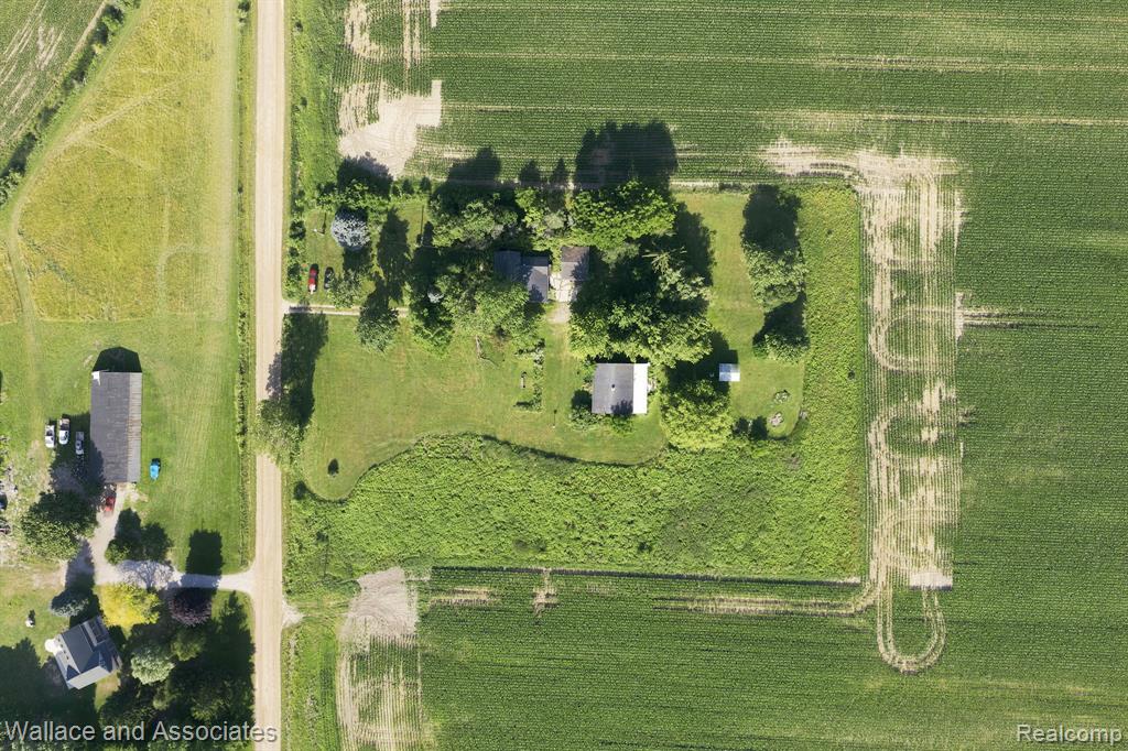 5949 Roach Road, Croswell, MI 48422 — Photo 4