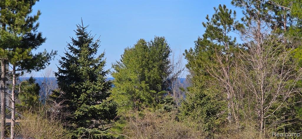 (Lot 10) E Spinnaker Court, Suttons Bay, MI 49682 — Photo 3