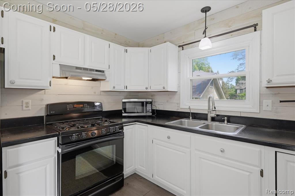 142 Mill Street, Ortonville, MI 48462 — Photo 10