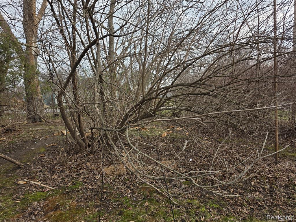 7285 Farnum Street, Romulus, MI 48174 — Photo 4