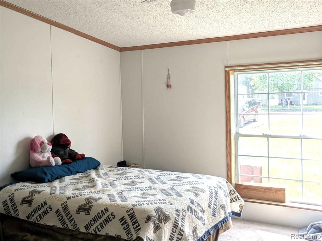 5554 N Sauble Lake Drive, Irons, MI 49644 — Photo 31