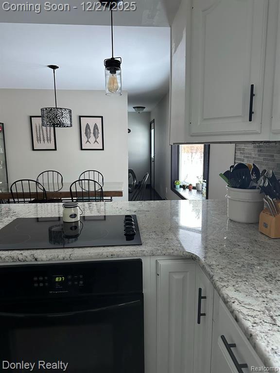 232 W Mills Street, Sandusky, MI 48471 — Photo 9