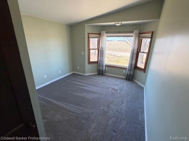 6346 Patrick Road, North Branch, MI 48461 — Photo 29