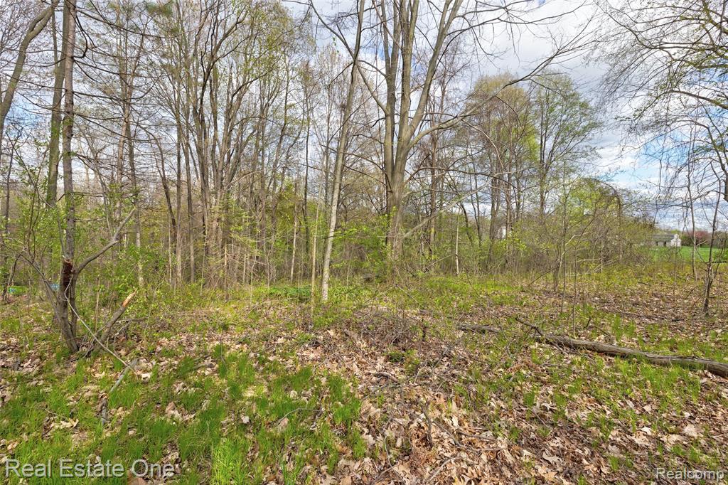 590 Judi Ann Lane, Holly, MI 48442 — Photo 32