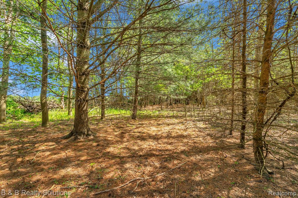 2864 N BLACKS CORNERS Road, Imlay City, MI 48444 — Photo 47