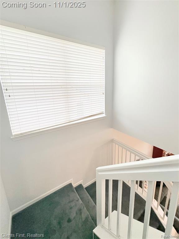 7244 Maplelawn Drive, Ypsilanti, MI 48197 — Photo 24