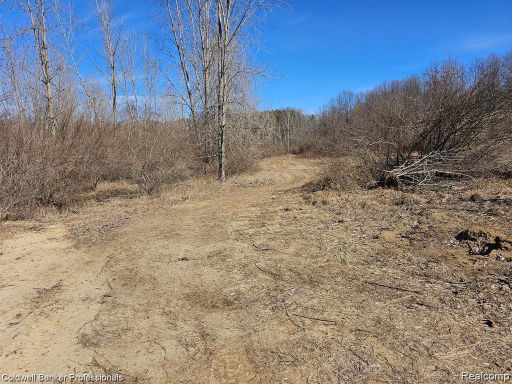 0 Jamestown Drive, Metamora, MI 48455 — Photo 8
