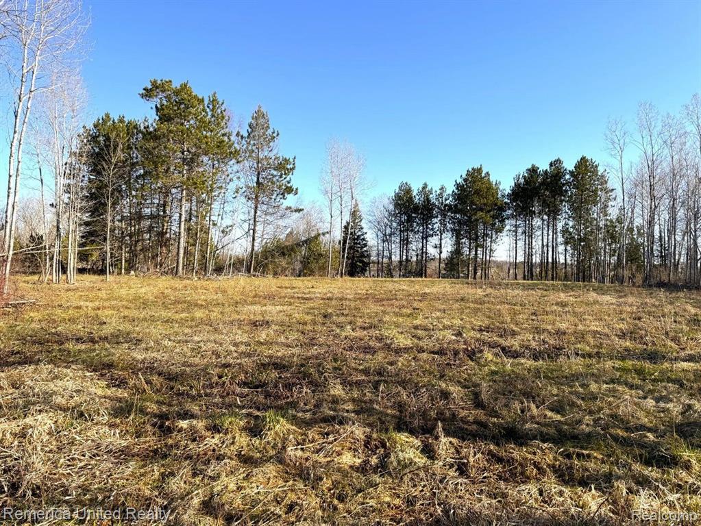 4052 S RIVER Road, Cheboygan, MI 49721 — Photo 9
