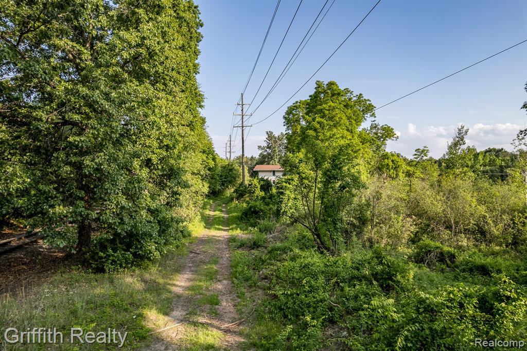 4433 Brighton Parcel D Road, Howell, MI 48843 — Photo 13